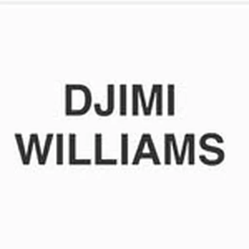 @djimiwilliams profile image