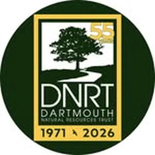 @dnrt_org profile image