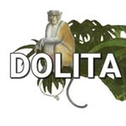 @dolita.bijoux profile image