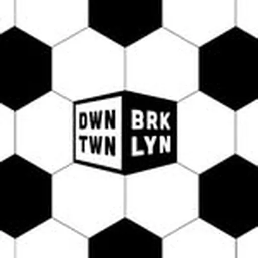 @downtownbrooklyn profile image