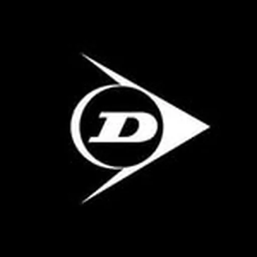 @dunloptyre_eu profile image
