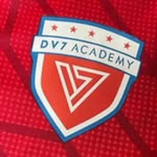 @dv7academy_madrid profile image