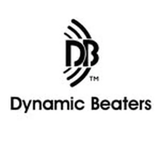 @dynamicbeaters profile image