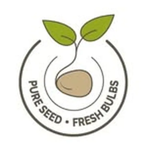 @edenbrothers profile image