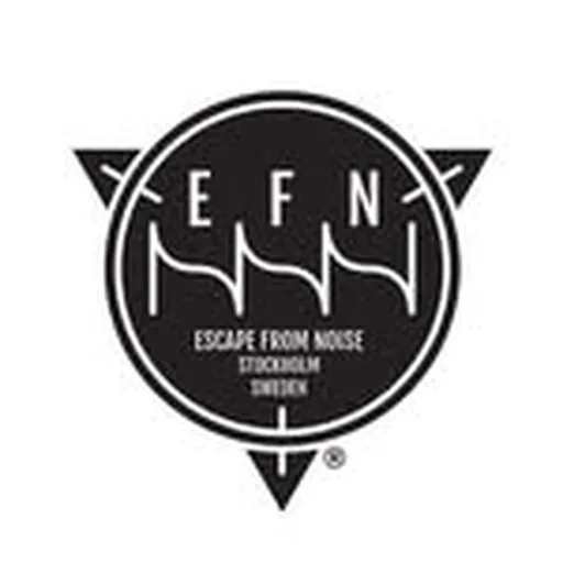 @efn_modular profile image