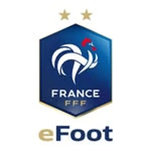 @efootdefrance profile image
