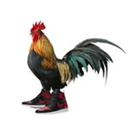 @elpollokicks profile image