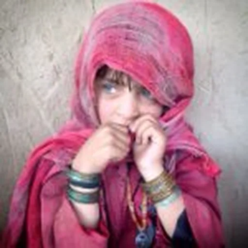 @everydayrefugees profile image