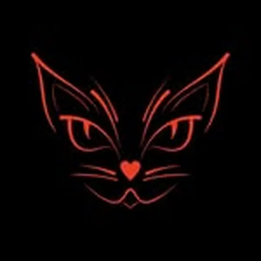 @felinasheels profile image