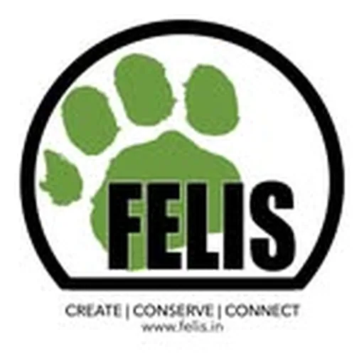 @felis_creations profile image