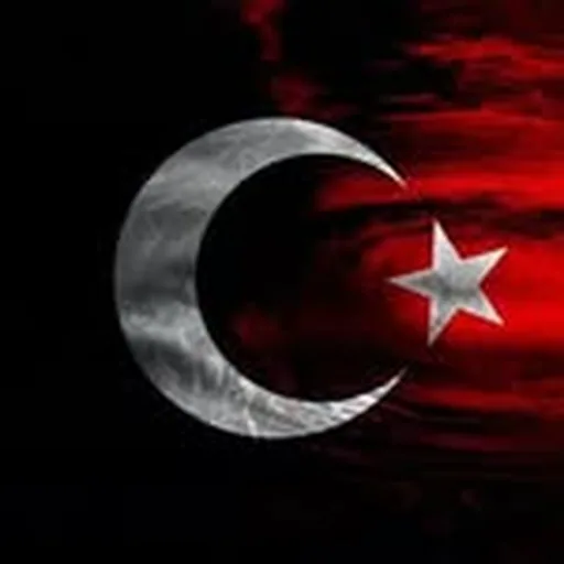 @fermanakgul profile image