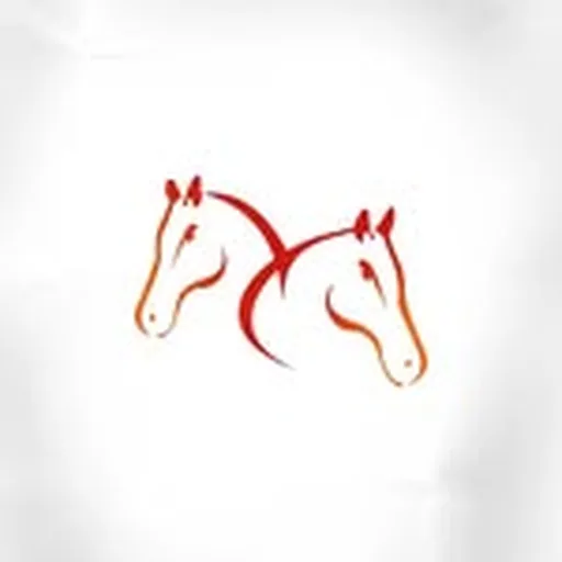 @fifthchukker profile image