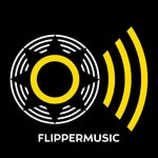 @flippermusic profile image