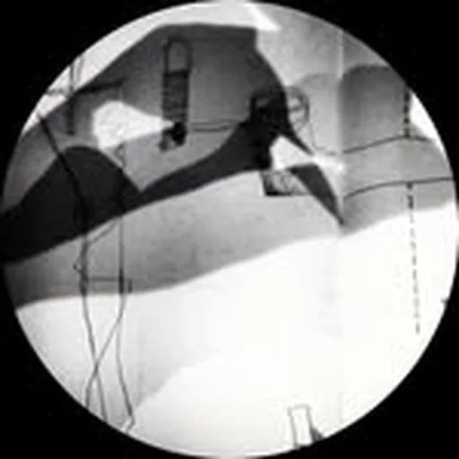 @friendsinbnw profile image