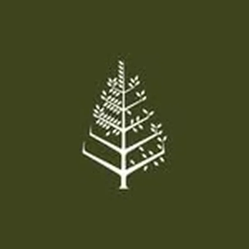 @fslanai profile image