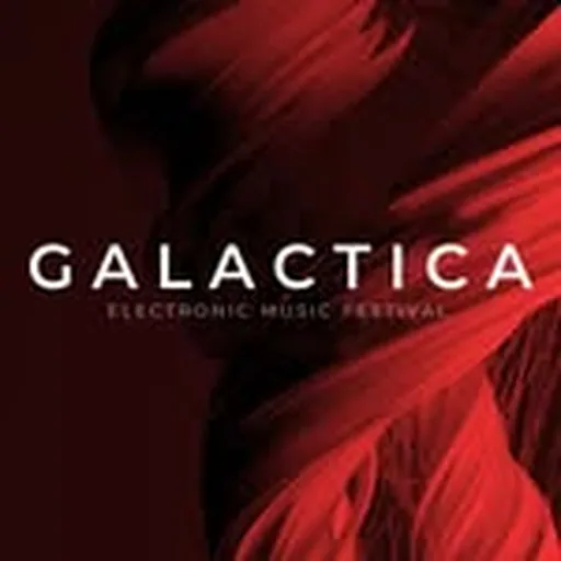 @galactica.festival profile image