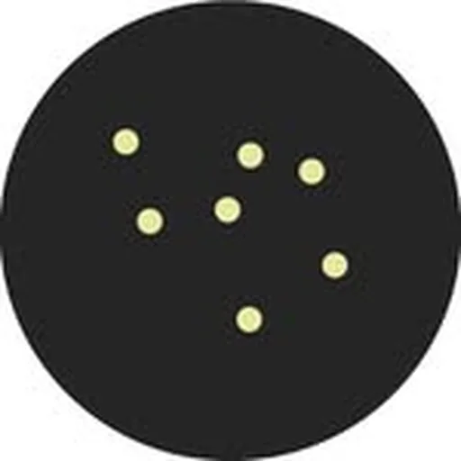 @gathereverywhere profile image