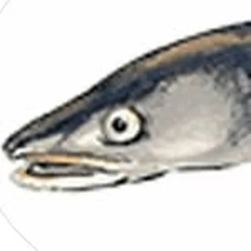 @gladde_paling profile image