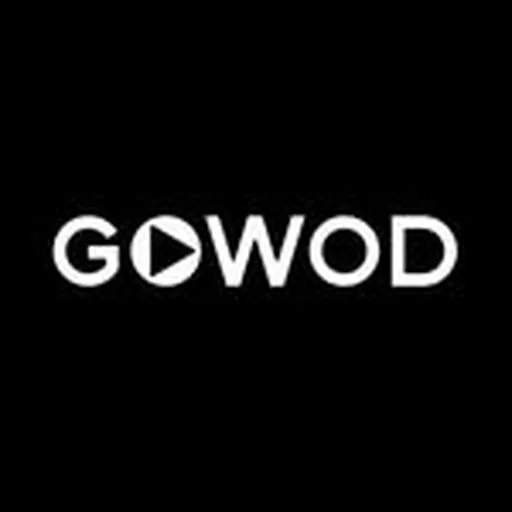 @gowod_mobilityfirst profile image