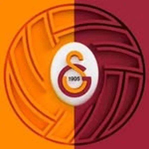 @gsvoleybol profile image
