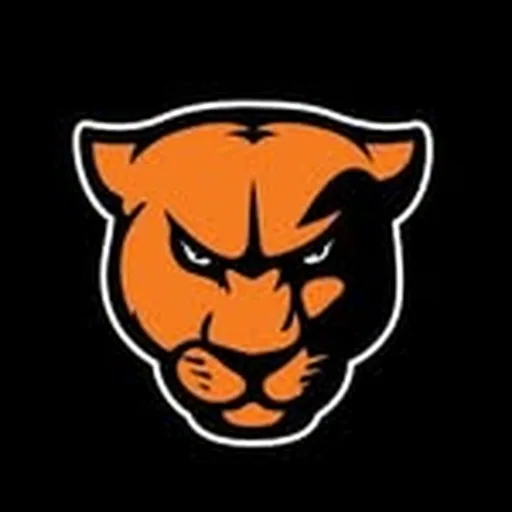 @gupanthers profile image