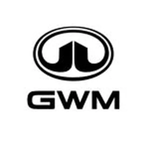 @gwm_chile profile image