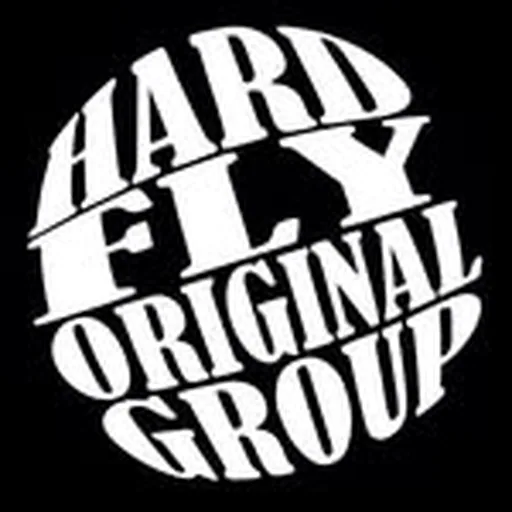@hardfly.cl profile image