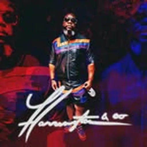 @harringtonandco_ profile image