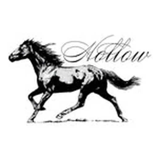 @hollows.us profile image