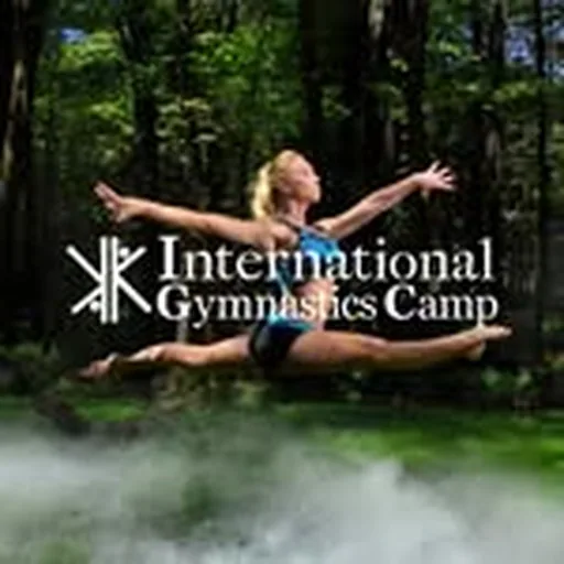 @internationalgymcamp profile image