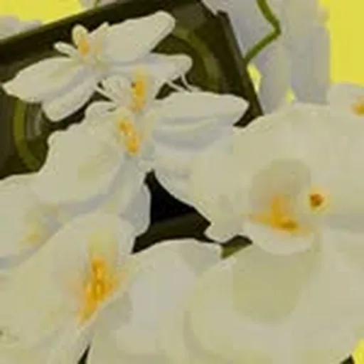 @interscxtion profile image