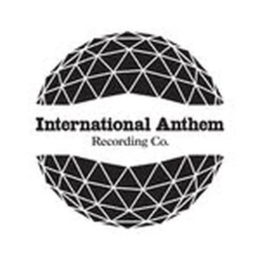 @intlanthem profile image