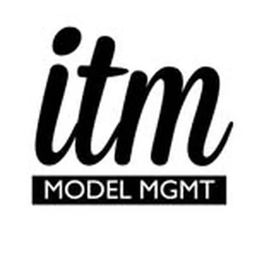 @itmodels profile image