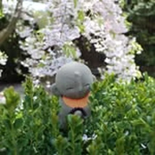 @japanhouseuofi profile image