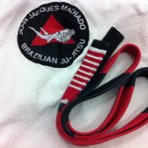 @jeanjacquesmachado profile image