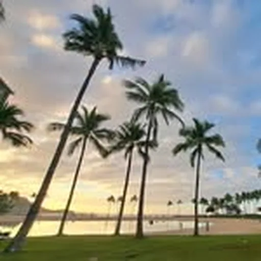 @johnehawaii profile image