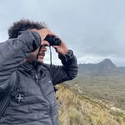 @juancinedoc profile image