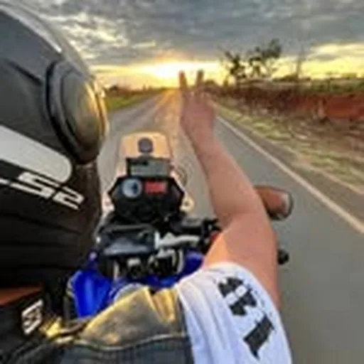 @junior_palomino_jr profile image