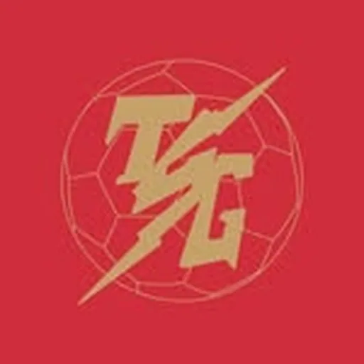 @lafc_tsg profile image
