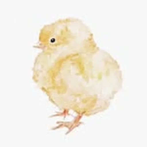 @lamblittle profile image