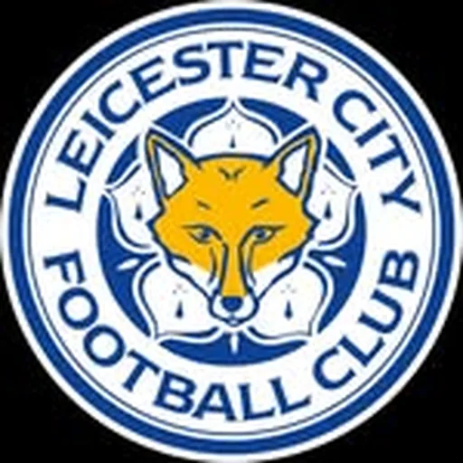 @lcfcwomen profile image