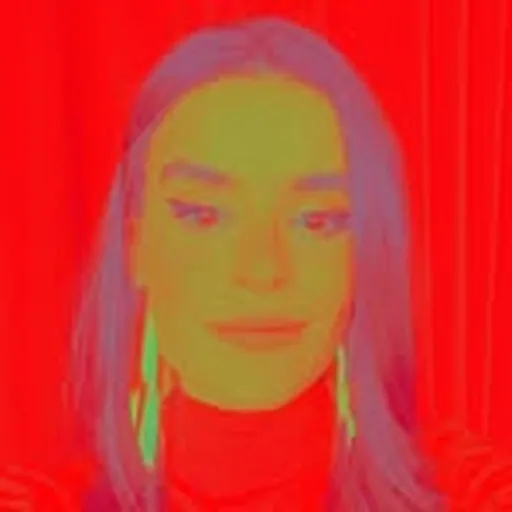 @lecanovo profile image