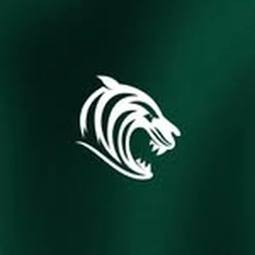 @leicestertigers profile image