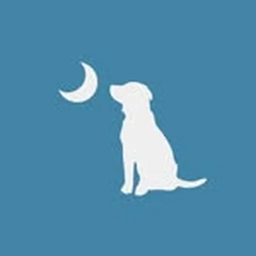@localboyoutfitters profile image