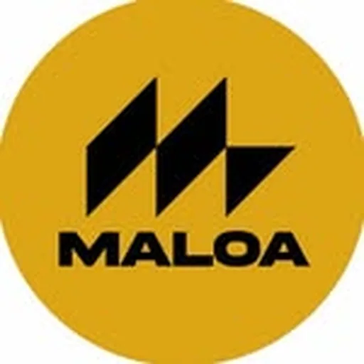 @maloasabadell profile image