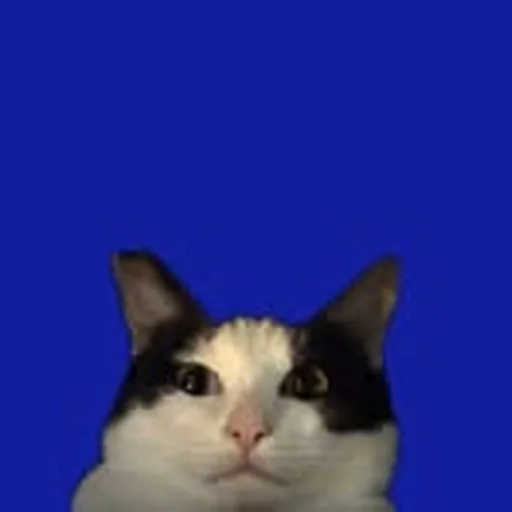 @matatabby_ profile image