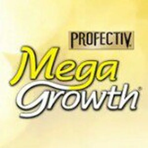@megagrowth profile image