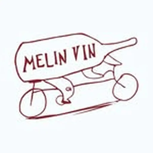 @melin_vin profile image