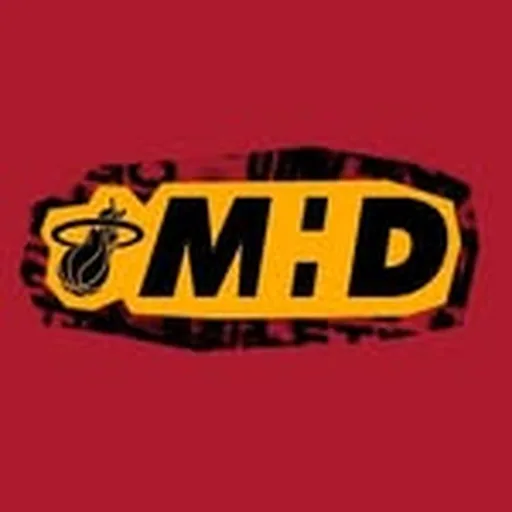 @miamiheatdancers profile image