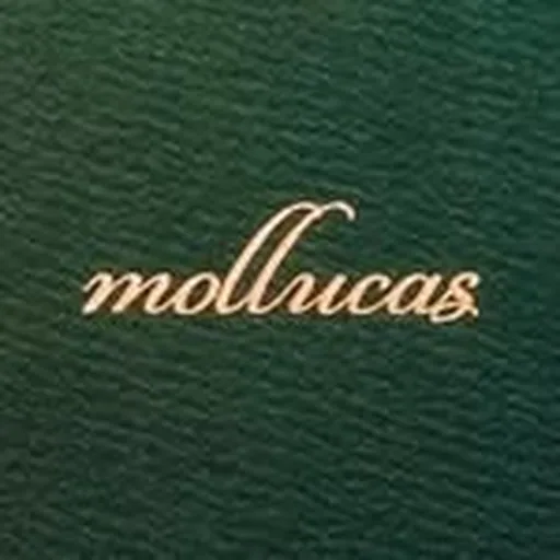 @mollucas.id profile image